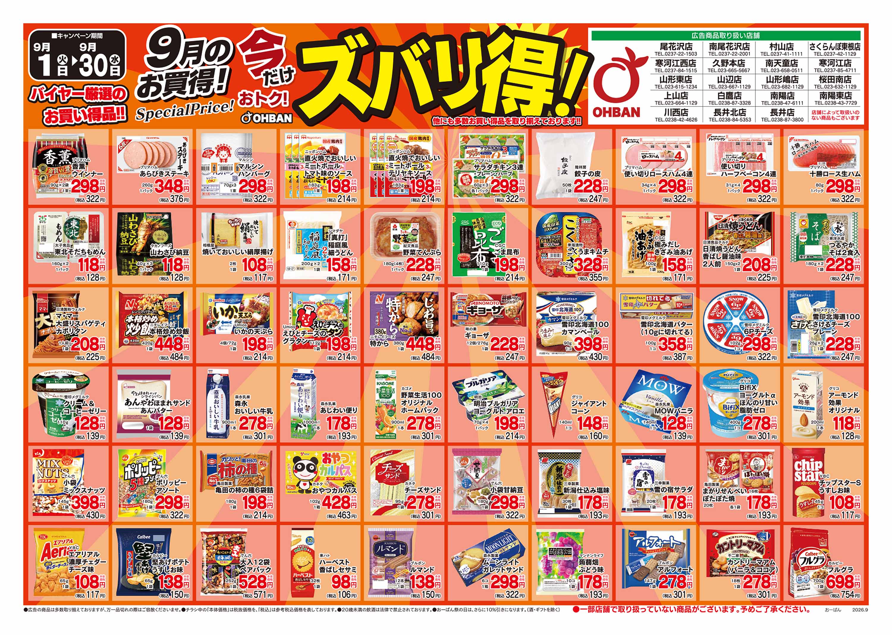 活動歴および当時の関連ビジュアル記録