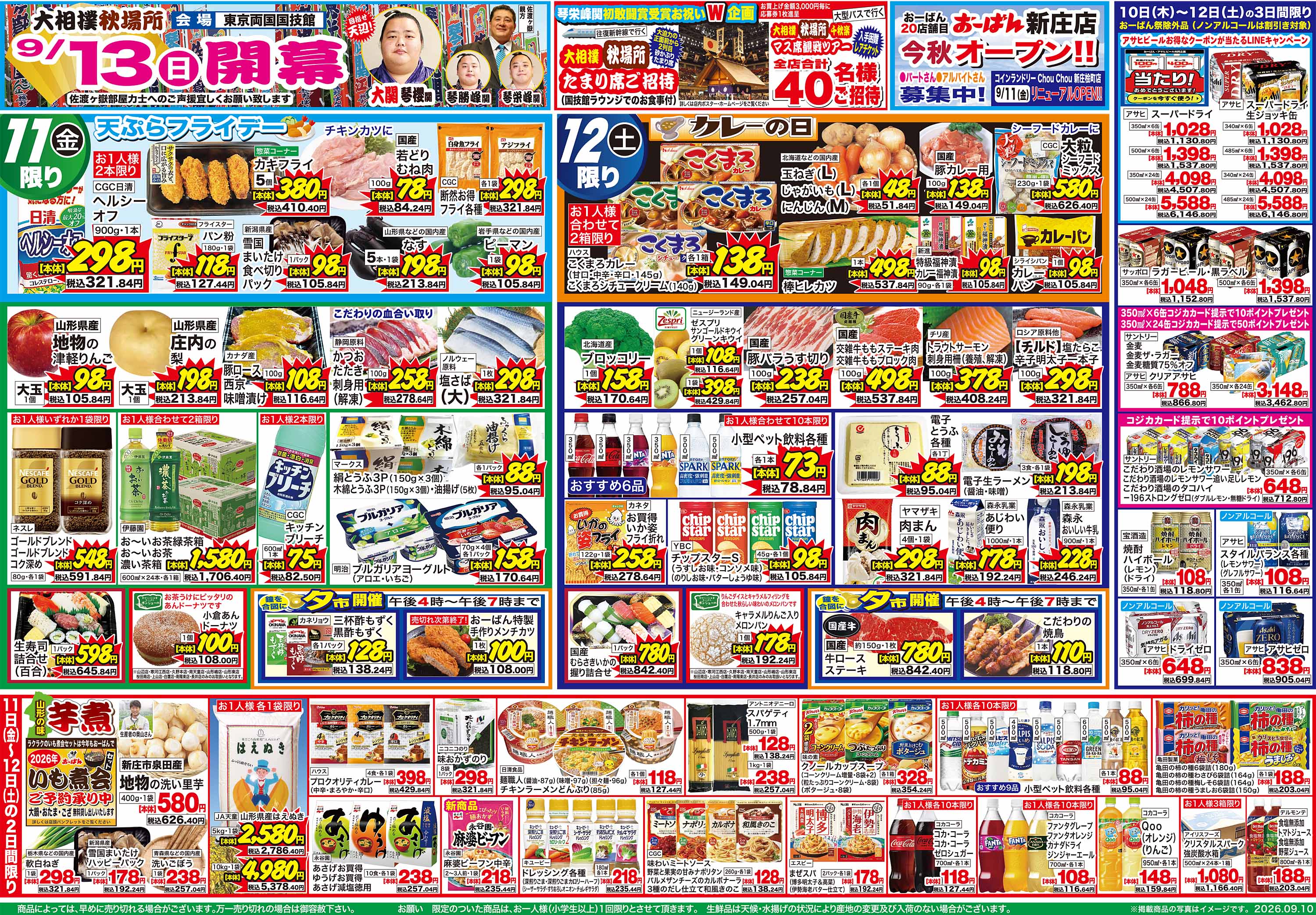 活動歴および当時の関連ビジュアル記録